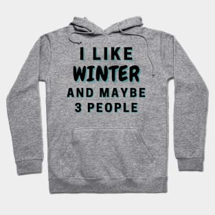 I Like Winter And Maybe 3 People Hoodie